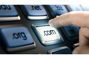 Domain Registration