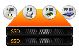 Custom Linux VPS